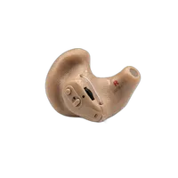 ITE (In-The-Ear)